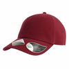 Sustainable Dad Hat